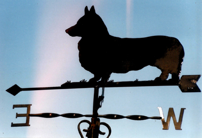 Corgi weather vane